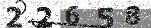 تصویر امنیتی